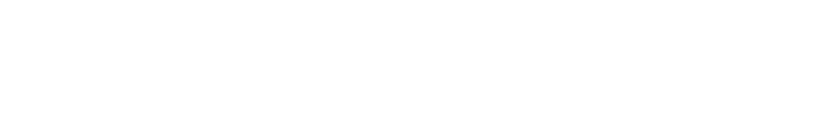 wingman-aviation-logo